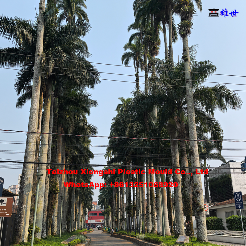 Interplast 2024 in Joinvile Brazil (图6)
