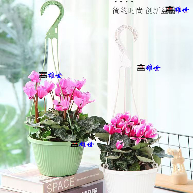 Professional Plastic Injection Flowerpot Mould (图56) Professional Plastic Injection Flowerpot Mould (图57)